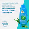 Blendax Yoğun Nemlendirme Aloe Vera Özlü Şampuan 500 ml Kuru Saçlar İçin