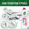 Cif Frezya ve Müge Çiçeği Krem Temizleyici 750 ml