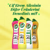 Cif Krem Yüzey Temizleyici Limon Kokulu Yağ ve Kireç Sökücü Leke Çıkarıcı 500 ML