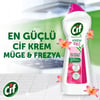 Cif Krem Yüzey Temizleyici Müge ve Frezya Yağ ve Kireç Sökücü Leke Çıkarıcı 500 ML