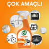 Cif Ultra Hız & Güç Yağ Çözücü Sprey Leke ve Kir Çıkarıcı 1000 ML