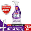 Cillit Bang Dezenfektan Mutfak Temizleyici Yağ ve Kir Sökücü Sprey 750 ml
