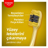 Colgate 360 Charcoal Gold Çok Yönlü Koruma Yumuşak Diş Fırçası