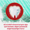 Colgate Optic White Kil & Mineraller Diş Macunu 75 ml