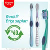 Colgate Orta Sert Manuel Diş Fırçası 2'li Set – Unisex Kullanım, Türkiye'de Üretilmiş Kaliteli Tasarım