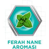 Corega Naneli Takma Diş Yapıştırıcı Krem 40 g – Ferah Nane Aromalı, Güçlü ve Uzun Süreli Tutucu Etki