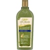 Dalan D'olive Zeytinyağlı Kepek  Şampuan 400 ml