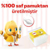 Dalin Kulak Çubuğu / 100'lü