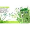 Dermokil Duş Jeli Aloe Vera 500 Ml