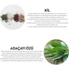 DKDENT Pırıl Ahududu Aromalı Çocuk Diş Macunu 50 ml