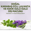 Doğal Karabaş Otu, Lavanta ve Kekik Özlü Diş Macunu 90 ml