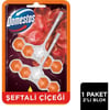 Domestos Aroma Lux Tuvalet Bloğu Şeftali Çiçeği 100G