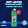 Domestos Çamaşır Suyu Dağ Esintisi 750ml x Domestos Çamaşır Suyu Kar Beyazı 750 ml + Sünger Hediye