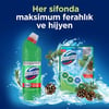 Domestos Tuvalet Bloğu Çam Ormanı 50 G
