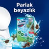 Domestos Tuvalet Bloğu Çam Ormanı 50 G