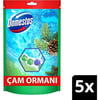 Domestos Tuvalet Bloğu Çam Ormanı 5'Li Güç 250 G