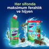 Domestos Tuvalet Bloğu Çam Ormanı 5'Li Güç 250 G