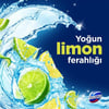 Domestos Tuvalet Bloğu Limon Bahçesi 100 G
