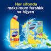 Domestos Tuvalet Bloğu Limon Bahçesi 100 G