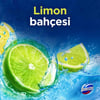 Domestos Tuvalet Bloğu Limon Bahçesi 100 G