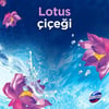 Domestos Tuvalet Bloğu Lotus Çiçeği 100 G