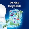 Domestos Tuvalet Bloğu Yağmur Ferahlığı 100 G