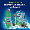 Domestos WC Blok 5'li Güç Tuvalet Bloğu Çam Ferahlığı Maksimum Hijyen 100 G