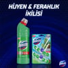 Domestos Yoğun Kıvamlı Çamaşır Suyu Dağ Esintisi 750 ml