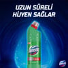 Domestos Yoğun Kıvamlı Çamaşır Suyu Dağ Esintisi 750 ml
