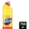 Domestos Yoğun Kıvamlı Çamaşır Suyu Limon Ferahlığı 750 ml