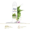 Dove Kadın Sprey Deodorant Matcha Yeşil Çay ve Sakura Çiçeği 150 ml