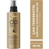 Dp Daily Perfection Sıvı Saç Kremi Çam Terebentin 180 ml