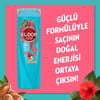Elidor Doğanın Enerjisi Saç Bakım Şampuanı Argan Yağı & Hibiskus Özü 400 ml