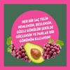 Elidor Doğanın Enerjisi Saç Bakım Şampuanı Avokado ve Üzüm Çekirdeği Yağı ve Parlaklık Kazandırıcı 500 ml