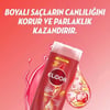 Elidor Superblend Saç Bakım Şampuanı Renk Koruyucu ve Canlandırıcı Bakım Badem Yağı Keratin E Vitamini 400 ml