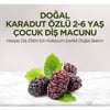 Eyüp Sabri Tuncer Doğal Karadut Özlü 2-6 Yaş Çocuk Diş Macunu 60 ml
