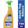 Fairy P&g Professıonal Faıry Agır Yag Cozucu Fırın Temızleme Maddesı 750ML