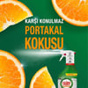 Fairy Portakallı Power Spray 800ML