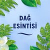 Febreze Hava Ferahlatıcı Sprey Oda Kokusu Dağ Esintisi 185 ml