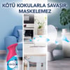 Febreze Japon Kiraz Çiçekleri Hava Ferahlatıcı Oda Kokusu 185  ml