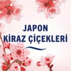 Febreze Japon Kiraz Çiçekleri Hava Ferahlatıcı Oda Kokusu 185  ml