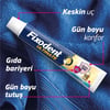 Fixodent Professional Diş Protez Yapıştırıcı Krem 40 gr Hafif Nane Aromalı Güçlü Tutuş ve Diş Eti Koruması