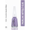 Flormar  Parlak Bitişli Yüksek Pigmentli Oje (494 Ash Blue New) 8682536036306