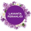 Glade Lavanta Ferahlığı Banyo ve Oda Kokusu Yedeği 10 ml Kötü Kokuları Giderici Etki
