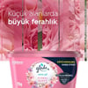 Glade Mini Jel Oda Kokusu Floral Buket 70 gr
