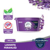 Glade Oda Kokusu Mini Jel Lavanta 70 Gr Kötü Kokulara Karşı Etkili Ferahlık