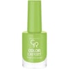 Golden Rose Color Expert Naıl Lacquer NO:152