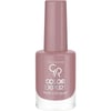 Golden Rose Color Expert Oje 137
