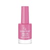 Golden Rose Color Expert Oje 16