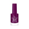 Golden Rose Color Expert Oje 28